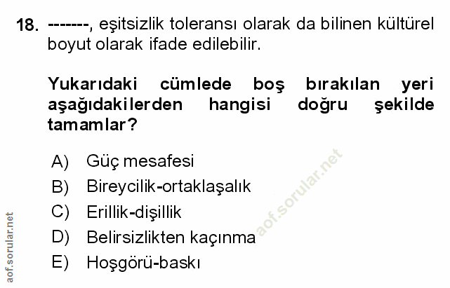 Soru 18
