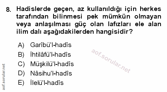 Soru 8