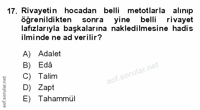 Soru 17
