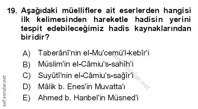 Soru 19