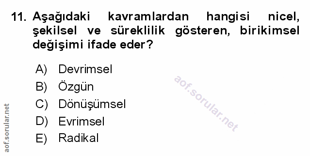 Soru 11