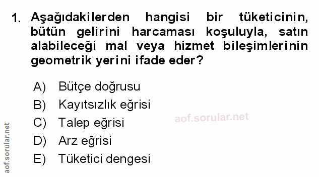 Soru 1
