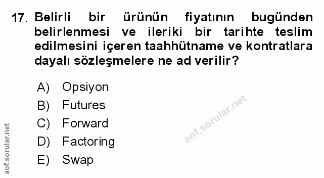 Soru 17