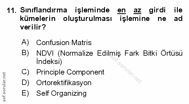 Soru 11