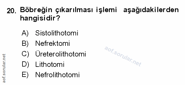 Soru 20