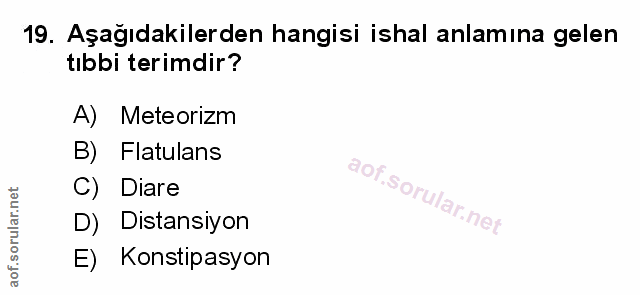 Soru 19