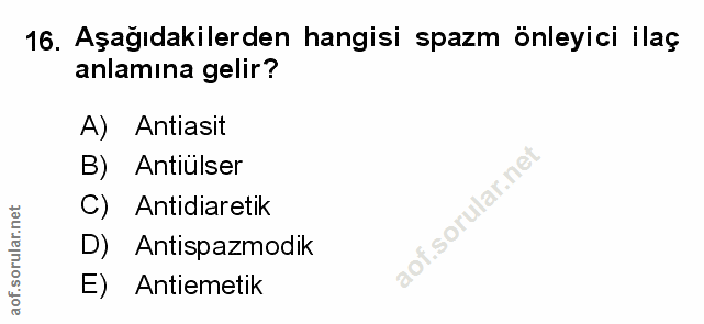 Soru 16