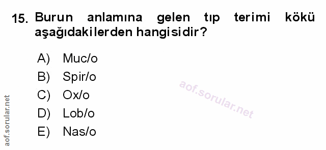 Soru 15