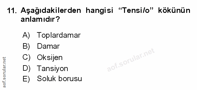 Soru 11