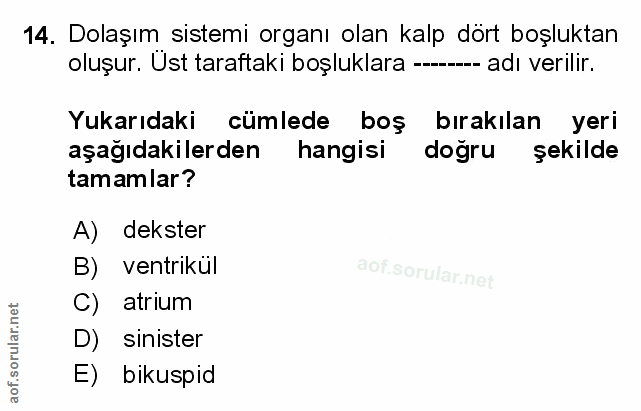 Soru 14