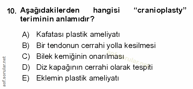Soru 10