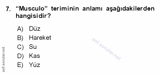 Soru 7