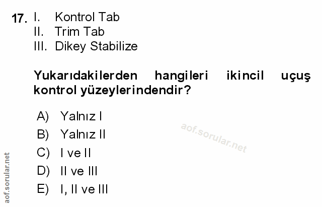 Soru 17