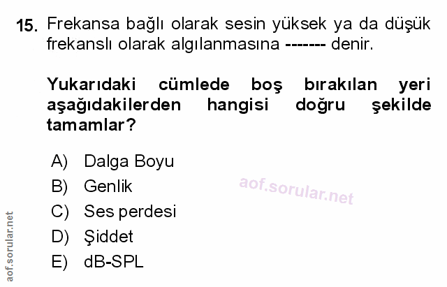 Soru 15