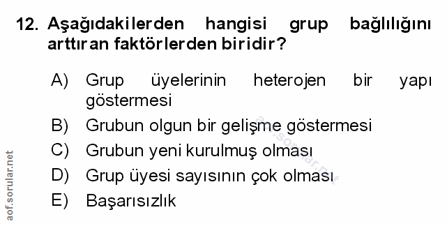 Soru 12