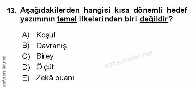 Soru 13