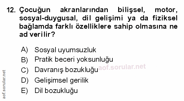 Soru 12