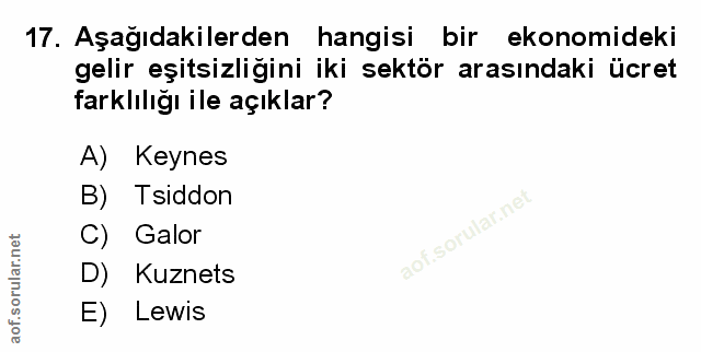 Soru 17