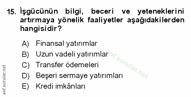 Soru 15