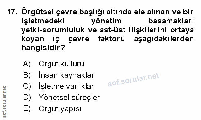 Soru 17