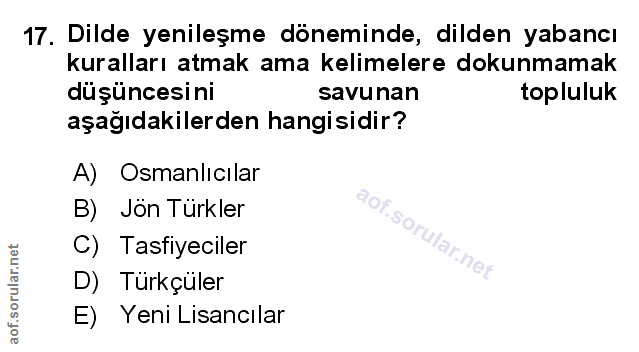 Soru 17