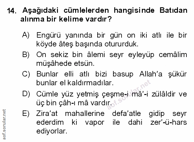 Soru 14