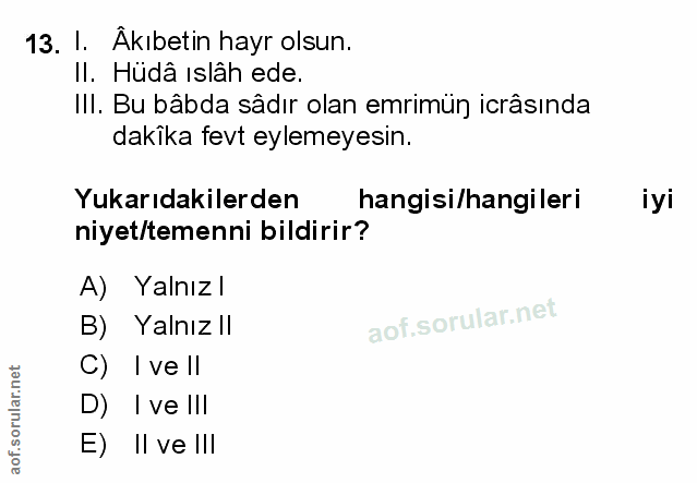 Soru 13