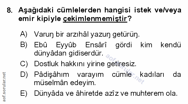 Soru 8