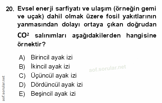 Soru 20