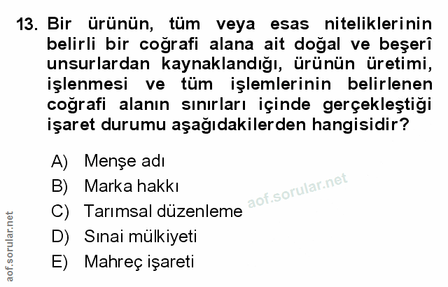 Soru 13