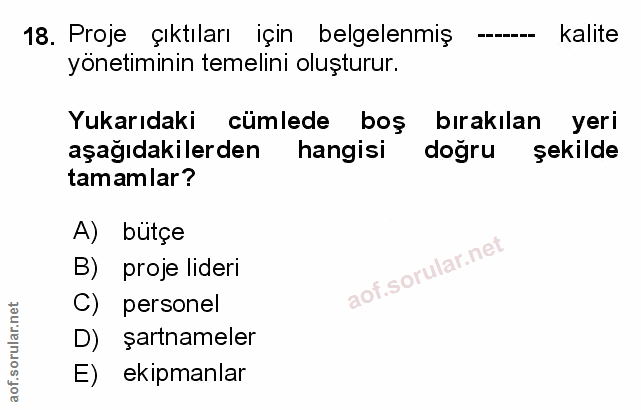 Soru 18