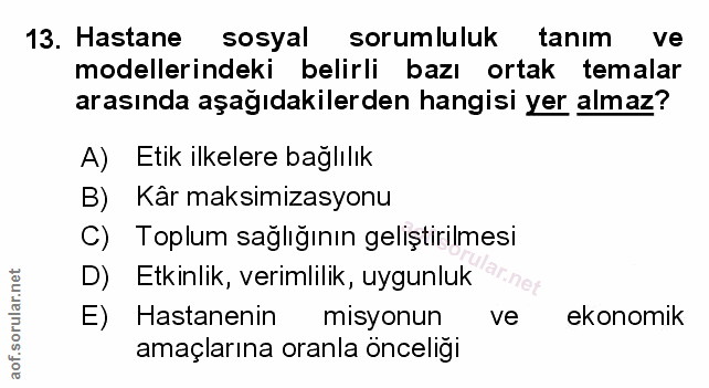 Soru 13