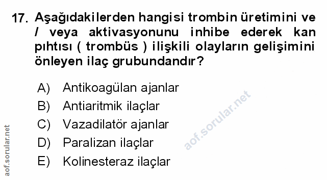 Soru 17