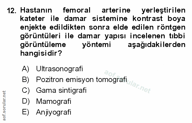 Soru 12