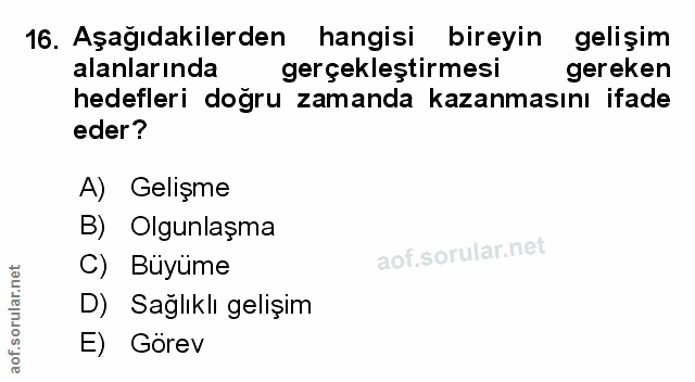 Soru 16