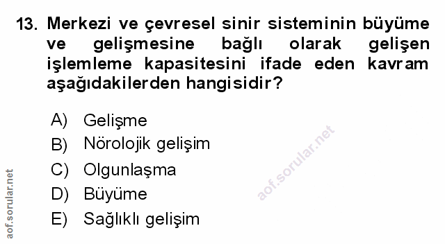 Soru 13