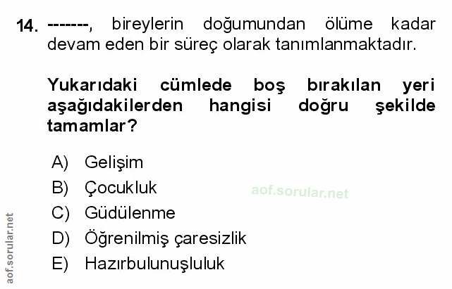 Soru 14