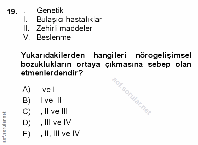 Soru 19
