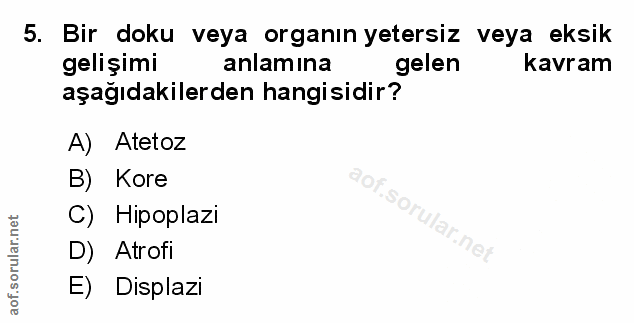 Soru 5