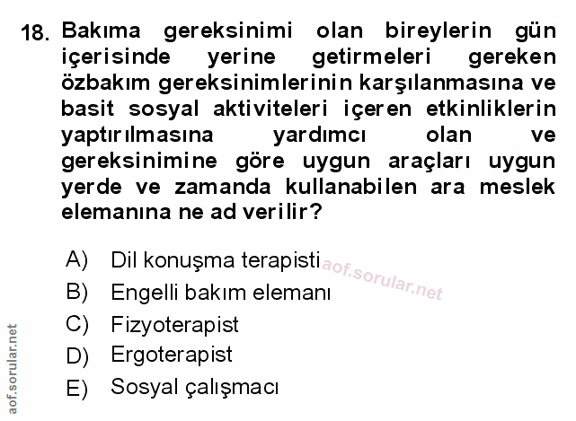 Soru 18