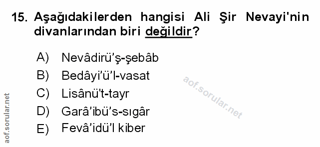 Soru 15