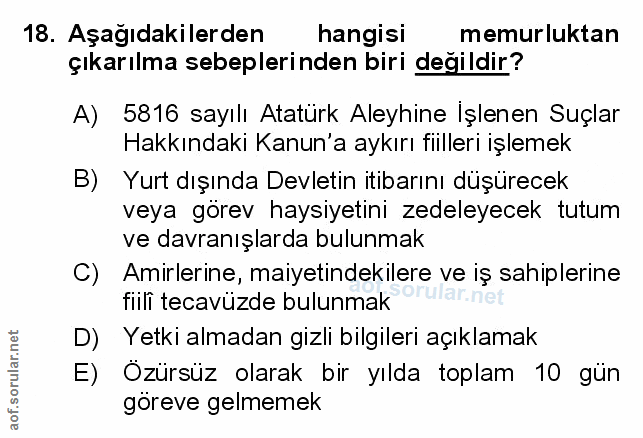 Soru 18