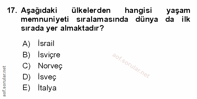 Soru 17