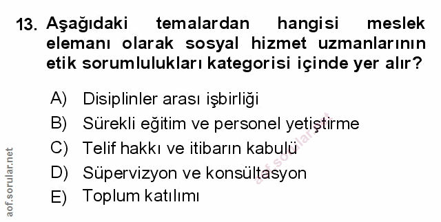 Soru 13