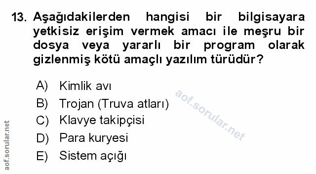 Soru 13