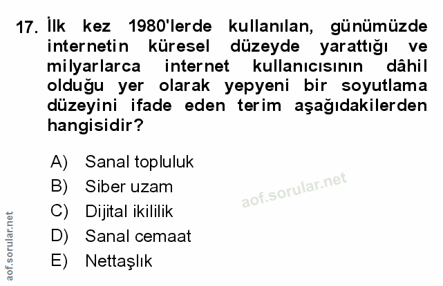 Soru 17
