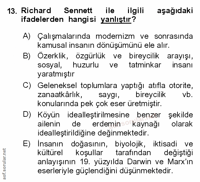 Soru 13