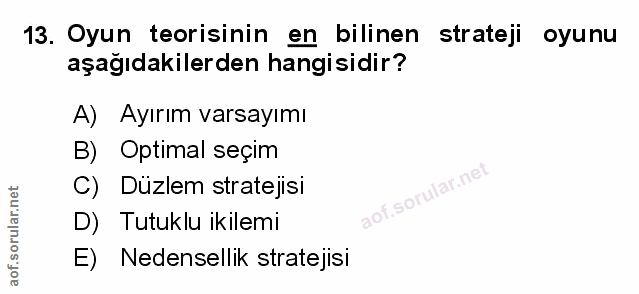 Soru 13