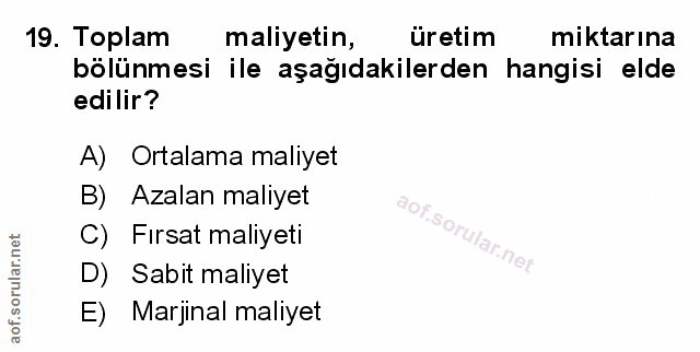 Soru 19