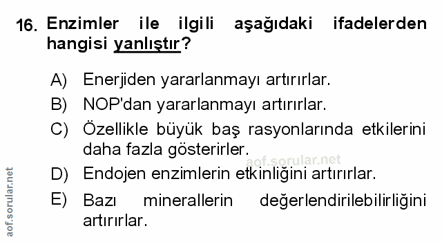 Soru 16